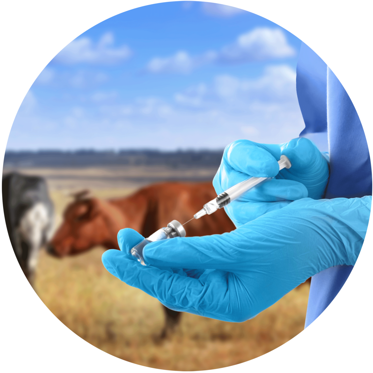 Veterinary Biologicals IABS